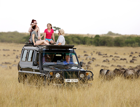 Safari Dreams of Kenya