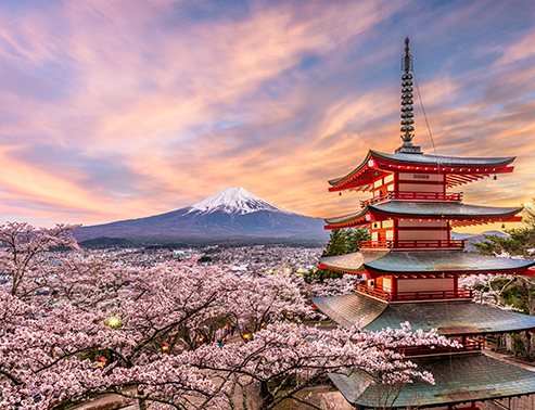 Japan Fusion